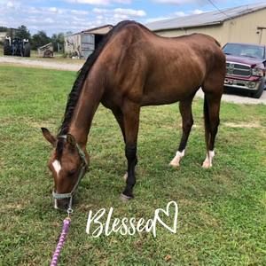 Meet your Posher, Kim